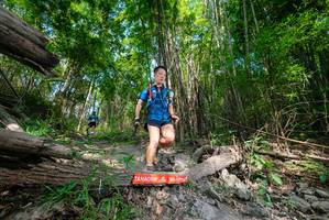 BIB: 
                            <button type="button" onclick="openModal(19389620)" class="btn btn-primary btn-sm float-right btn-popup" data-toggle="modal" data-target=".modal-high-quality">
                        <i class="fas fa-shopping-cart"></i> Add to Cart
                    </button>
                                            <button type="button" onclick="isThisMe(19389620, true)" class="btn btn-success btn-sm float-right btn-popup btn-isme hidden" data-toggle="tooltip" data-placement="bottom" title="นี่คือรูปของคุณใช่ไหม คลิกที่นี่เพื่อเอาเข้าอัลบั้ม">
                        <i class="fas fa-plus"></i> Add to album
                    </button>
                    <button type="button" onclick="isThisMe(19389620, false)" class="btn btn-warning btn-sm float-right btn-popup btn-isnotme hidden">
                        <i class="fas fa-ban"></i> Remove from album
                    </button>